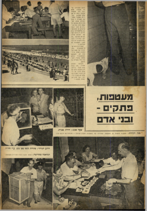 העולם הזה - גליון 718 - 2 באוגוסט 1951 - עמוד 10 | הרגע המכריע: בוחר אלמוני, שלא יכול היה להיפרד מכלבו, בוחר לו את פתק מפלגתו בסודיות, מאחורי המחיצה. בשבילו זו שעה רצינית. אולם לאלפים רבים, שצבאו על שפת הים