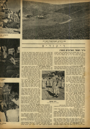 העולם הזה - גליון 721 - 23 באוגוסט 1951 - עמוד 8 | הרוקדים מגי; ההתחלה: בנס הריקודים: האמפיתיאטרון הענק ריר, המערב הפרוע, ג׳ונגל מזרחי, רנסנס עברי גרבי הצמר הארוכים הוסרו בצד דרך העפר העוקפת את הקבוץ מתנשא שלט