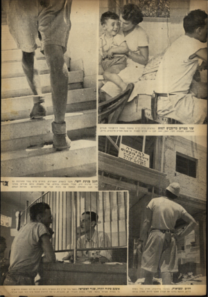 העולם הזה - גליון 723 - 6 בספטמבר 1951 - עמוד 4 | שני מטרים מרובעים לנפ*צ. במרפסת. צרת יזיים שהפכה בשעת חירום חדר מגורים מצטופפת משפחת דהבי, האב, האם, הבן — שלוש נפשות על ששה מסרים מרובעים, בדיוק. הגנן כגינת