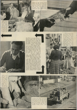 העולם הזה - גליון 735 - 29 בנובמבר 1951 - עמוד 4 | אברהם בן־אברהס, ספסר לפי מקצועו, גילה פרנסה נוחה. הוא קונה דולארים. מחפש לו תייר מתאים, מוסר לו את הזו־לאריס. הקיייר ניגש, תמורת חלק לעצמו, קונה אגרות סקרים,