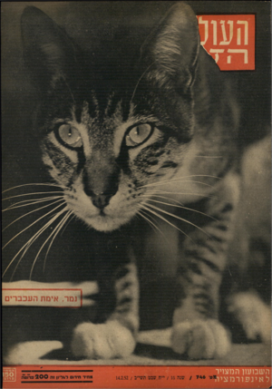 העולם הזה - גליון 746 - 14 בפברואר 1952