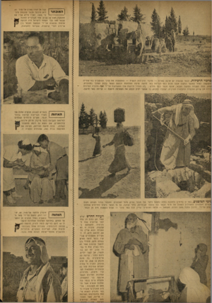 העולם הזה - גליון 752 - 27 במרץ 1952 - עמוד 4 | עבד אל־חמיד פארם אל־נטור .41 המוכתר רוא מוכתר הכפר קלנסוה מינו אר . 1949 לפניו מילא אביו אוז התפקיד, משך 18 שנים. אחד השינויים לטובה שבאו מאז עבר השטח לישראל