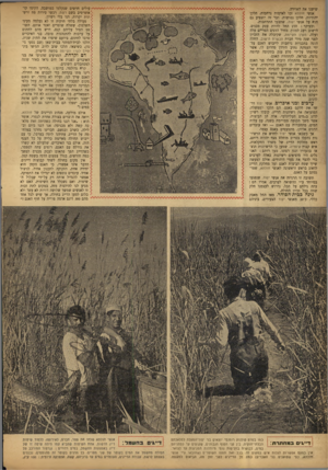העולם הזה - גליון 755 - 15 באפריל 1952 - עמוד 4 | שישנו את האוירה. אנשי חולתא זכו לאדמות נרחבות, חלקן יהודיות, חלקן נטושות. דבר זה השפיע גם הוא על אנשי יסוד, שתבעו התרחבות. ובעיקר: הדג החל להיות עסק מכניס.