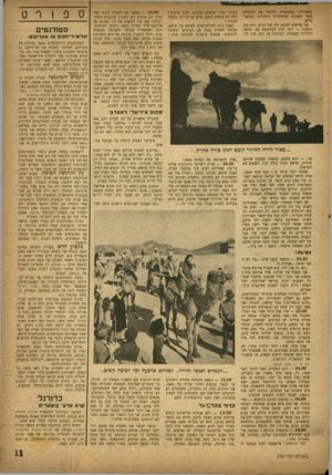 העולם הזה - גליון 759 - 15 במאי 1952 - עמוד 11 | באפלולית המתגברת, להזהיר את הרגליים מפני האבנים המחודדות והבורות הפתאומיים. אנו מגיעים לאוכף, בין שני הרים. רוח עזה נושבת — רוח קרה המייבשת את הזיעה וחודרת