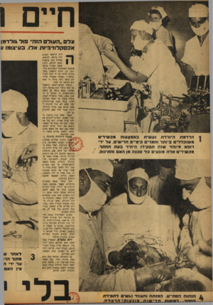 העולם הזה - גליון 782 - 23 באוקטובר 1952 - עמוד 8 | צד ״הפורס ה1ה״ פול אורדמן אכם ל,לוז־ 3־ות אלו. בפיצופו v הרדמת היולדת נעשית באמצעות מכשירי משוכלל׳ ב־ותד ותמרי בימ״ם הדיש. על יד רופא מיוחד ש1ה תפקידו היחיד