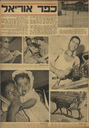 העולם הזה - גליון 783 - 30 באוקטובר 1952 - עמוד 9 | אליו ומחכים לרגע בו יקלטו בו. ראש כפר אוריאל בוא ד״ר (למשפטים) נסים האגל, עורך־דיו מצליח בוורשה שהתגייס לצבא האדום בזמן המלחמה, נפצע ברסיסי פצצה ואבד, בתהליך