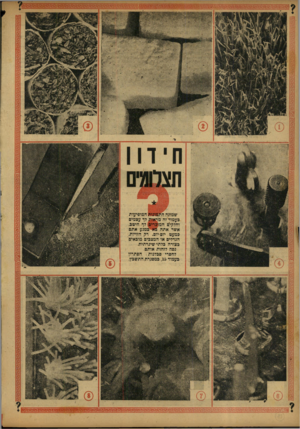 העולם הזה - גליון 784 - 6 בנובמבר 1952 - עמוד 16 | שמונה התמונות המופיעות כעמוד זה מראות לך עצמים וחלקיים המוכרים! לך היטב, אשר אתה בא ״כמגע אתם כמעט יופ-יום. רק הזויות, הגדלים או המצבים מובאים בצורה