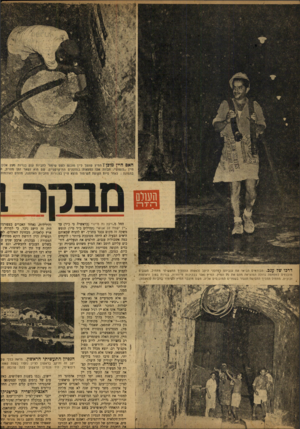 העולם הזה - גליון 784 - 6 בנובמבר 1952 - עמוד 8 | האם היין מוכן iהמיץ שהפך ליין מובנם לשם שימור לחביות ענק בנויות נזעץ אלון היין ״לנשום״ .חביות אלו נמצאות במחסנים תת־קרקעייס. שם הוא נשאר זמן מסוים, ו בתמונה: