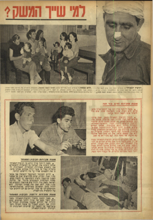 העולם הזה - גליון 803 - 19 במרץ 1953 - עמוד 4 | .לקיבוץ המאוחד!״ .אומרים׳ רפאל חמל, איש משק כברי, שנפצע בראש ועל האף בקרב על חרר־האוכל, וחבריו, הלנים על הארץ בבית בלתי־גמור שתפסו במשק (תמונה למטה מימין).