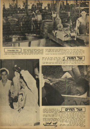 העולם הזה - גליון 805 - 29 במרץ 1953 - עמוד 18 | בראשית דרכנו החלטנו לערוך רפורטז׳ה על רמת־המחיה בקיבוץ. צילמנו משפחת חברים בכפר־מנחם, קיבוץ השומריהצעיר, אליו התקשרנו עוד בימי הקרבות. אולם כשנודע הדבר למזכיר