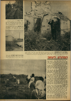 העולם הזה - גליון 818 - 25 ביוני 1953 - עמוד 5 | השביל המפריד. מצד אחד של רציף האבנים — הפרדס הנמצא עדיין בידי הערבים. מצד שני — הגדר המסמנת את תחום אדמת המושב. בכל במה מאות מסרים מצטלב הרציף עם דרך עפר: שם