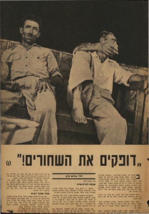 העולם הזה - גליון 830 - 17 בספטמבר 1953 - עמוד 3 | ״דופקים את השחורים!״ )0 ישראל אין שלטים המכריזים :״הכניסה לשחורים אסורה״ .בשום שכונה בארץ לא קרה מה שקרה בציצת, פרבר הפרעות של שיקאגו בארצות־הברית, אשר תושביו