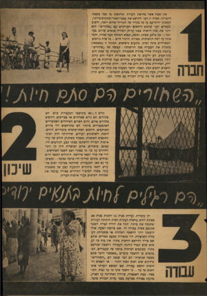 העולם הזה - גליון 830 - 17 בספטמבר 1953 - עמוד 5 | אין שטח אשר מחיצת העדות מורגשת כו כמו כשטח החכרתי. אפילו ה״לבן״ החושכ את עצמו לנאור ומתקדם כיותר, המסוגל להתרעם על כל מקרה של הפלייה שהוא רואה, יחשוכ פעמיים