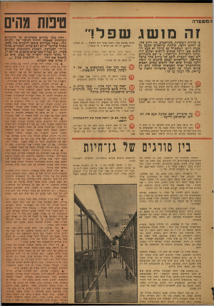 העולם הזה - גליון 833 - 8 באוקטובר 1953 - עמוד 5 | H K L M tiritfH H B H B H B H H H H H H H H H H H M M H H n B H SK3M fc3flHM K& 9l!gK19Rn1BHRlM nPH M raHBP<HII המשטרה nrמושג שפל! כי שדרות רוטשילד, כתד-אכיב,