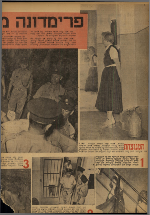 העולם הזה - גליון 833 - 8 באוקטובר 1953 - עמוד 8 | i Mהוא שהונצחו עד ידי צדם. הן ן גם כרגעים האחרונים I ריי 1ל ^י | עד עצמם ברצי דתת ,.תמיכה -מפו ־ .כך הסתפקו שד :פניה כלתי־מהייכו mmיזי המנוצחת• בודדת .,אחרי