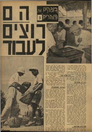 העולם הזה - גליון 836 - 29 באוקטובר 1953 - עמוד 3 | היושבים י*ים ע? גבי ימים בבית־קפה, בלשכת העבודה בהרצליה שמעתי את המשחקים שש־בש, במקום לצאת לעבודה. סיפור הזה: לפני אשנב מזכיר הלשכה הזדנב תור ארוך של פועלים
