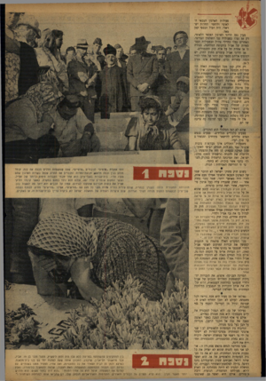 העולם הזה - גליון 840 - 26 בנובמבר 1953 - עמוד 5 | פעולות הארגון הצבאי הלאומי ולוחמי החרות ישראלי, היה העול הכספי קטן מאד. מבין 393 הרוגי הארגון הצבאי הלאומי, רק 58 נפלו בפעולות נגד השלטון הבריטי. האחרים נפלו