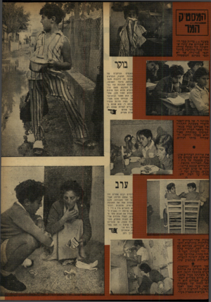 העולם הזה - גליון 841 - 3 בדצמבר 1953 - עמוד 4 | הנרחבים :אגמים סכונת התקנה, הנקראים ושום מה רחובות מנתר !ברחם, ברגלו הפצועה, ;חנות המכולת עוד במ ם התלבש. משם עליו ;הביא מלוא הסל פיתות מלוא הסיר חלב. אחרי
