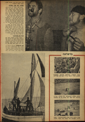 העולם הזה - גליון 847 - 14 בינואר 1954 - עמוד 4 | בלט מיפרש אדום קטן׳ הופעה שובבה והרפתקנית. שד,ישווה לפירה האיכר על גבי חסידה בינתיים עבר הפיקוד לידי יורם פרידמן. מקם גלזנר, שפיקד על הסירה עד מואר״ קיבל מברק