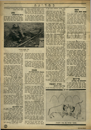 העולם הזה - גליון 850 - 4 בפברואר 1954 - עמוד 7 | הע ם שקט. שק ט. שקט מרכז אד״ס, ניו יורק( ,יו. פי תדהמה כללית השתררה הבוקר בממדרמות ה׳ או׳ס כשנציג ישראל החדש, הבר־הכנסת הדרוזי סאלח חניפס, חבוש הקפיה הלבנה,