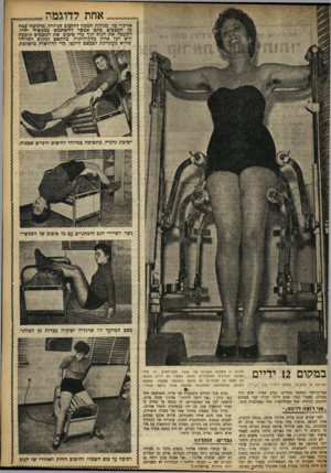 העולם הזה - גליון 850 - 4 בפברואר 1954 - עמוד 9 | אחת לדוגמה אלינור טל, מנהלת המכון להימוג הגיזרה, מדגימה גמה מן המצגים בהם אפשר להשתמש --כמכשיר יחיד,סיכוג. את המצגים רוגעת המעסה את הגוף תוך כדי סיבוג. היא לכל