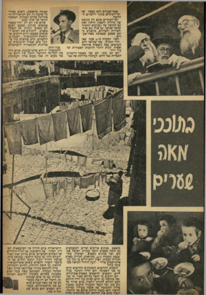 העולם הזה - גליון 853 - 25 בפברואר 1954 - עמוד 3 | אמונה מיואשת, רואים במדינה שלטון זר. הם הגווארדיה האחרונה בקרב האחרון, המשמר הנופל אך אינו נכנע. אודם אין הם רק חיל־משמר כמשלט מנותק. מפעם לפעם הם מנסים לנחות