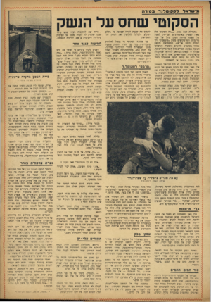 העולם הזה - גליון 855 - 11 במרץ 1954 - עמוד 19 | מי שר אל ל ס קו טלגד ב סירה הסקוטי שחס על הנשק בתחילת שנת ,1946נ*0וור. הסקוטי אלן באר, קפטיין באינטליג׳נס הבריטי, לטעון על ספינת נחיתה מטען גדול של פגזי מרגמות