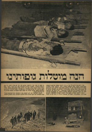 העולם הזה - גליון 857 - 25 במרץ 1954 - עמוד 3 | הכה מוטלות גופותינו שירו הישן של חיים גורי על 35 חיילי ההגנה שנפלו כדרכם הנואשת לבפר־עציון הנצור, שוב התמלא השבוע תוכן. הגופות שהיו מוטלות בשורה ארוכה-ארוכה לא