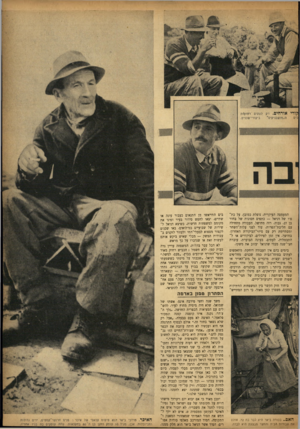 העולם הזה - גליון 860 - 15 באפריל 1954 - עמוד 19 | המעמסה העיקרית׳ נופלת כמובן׳ על כת פו של דניאל — כתפים חסונות של בחור בן 27׳ גבוה׳ רזה מחושל. העבודה מתחילה עם חליבת־הפרות׳ עוד לפני עלות־השחר ומסתלימת רק עם