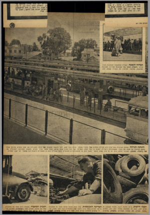 העולם הזה - גליון 871 - 1 ביולי 1954 - עמוד 16 | בן־גוריון הידועה .8 ! 1תריסר ! .9עורך הדין של גרינוולד 11 הקיבוץ שגרש את אנשי סנה ; .13 שמו הפרטי של לותר j רוב ! •17 חודש׳ לבנה . 18 1שם משפחה גון, ירושלים,