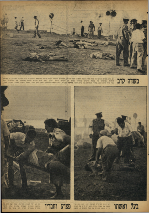 העולם הזה - גליון 876 - 5 באוגוסט 1954 - עמוד 7 | כשדה קוב מ ל ואשתו כן נראה מקום האסון רבע שעה אחרי שנפל המטוס. הקהל הורחק, הפצועים הועברו לקבלת טיפול במרפאת המשק או לבית החולים בטבריה. על האדמה עדיין כתמי