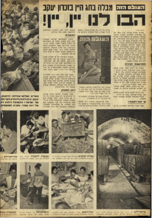 העולם הזה - גליון 878 - 19 באוגוסט 1954 - עמוד 10 | a & iu a i n v n וגבלה נהג היין מכוון יעקב הבו לנו ״ן ,״ן! (ראה שער) עשרים ושלוש צעירות יפות תואר ניס־נפו במסרקות, שמתונים ומראות, פיטפטו בעליצות בד,שענן על