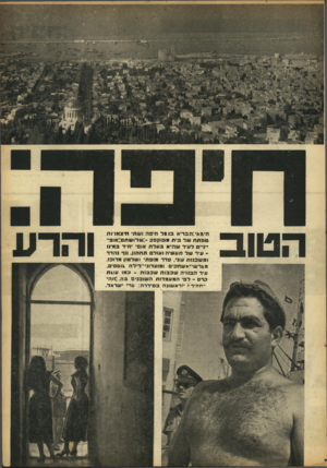 העולם הזה - גליון 885 - 30 בספטמבר 1954 - עמוד 3 | הטוב הימא•:הבריא ב 11ל חיבה ושת׳ תיצאניות סב תהשד בי ת מפוקפק :-ש רו שתם: או פ־ ״נ״ ס ד עי ר ש היא בעדת אוב היד במינו עיר ש ד תע שיה ועוד תחתון 1 .וךנ הדרו מ ש