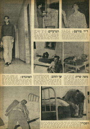 העולם הזה - גליון 893 - 25 בנובמבר 1954 - עמוד 5 | לכל מוסד יש ליצן משלו, וכל מוסד מד ביק בחבריו כינויים שונים ומשונים. ליאון זיגלר, הלץ חסר־הליאות בהכנסת־אור־חים התל־אביבית, מכונה בשס ״הליצן״ ,אן מציג את עצמו