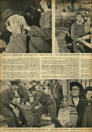 העולם הזה - גליון 894 - 2 בדצמבר 1954 - עמוד 11 | לפני זריקת האבנים -שירת תהלים ותפילה המונית ברחובותיה של ירושלים. :פת האפורות של שכונת ן בתוך חור קטן, בקרבת :זי־תפוזים צבועים צהוב, ; את זה ב״שבוע טוב !״ ים