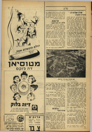 העולם הזה - גליון 896 - 16 בדצמבר 1954 - עמוד 15 | מדע ארכי אולוגיה החוליה החסרה הרמה החומה־צחיחה של הנגב המרכזי, שימשה זירה לסיוריהם של ארכיאולוגים רבים: לורנם ח־ליי עברו שם על דבשות גמלים ועל אוכם י־סוסים.