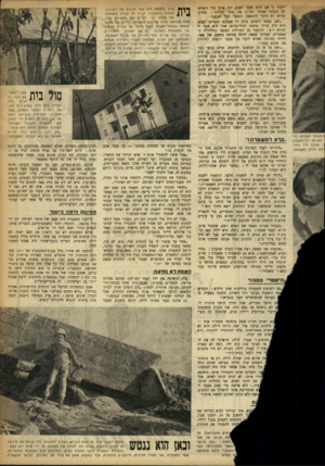 העולם הזה - גליון 905 - 17 בפברואר 1955 - עמוד 13 | ידעתי כי אם יוודע מצבי לאבא, יכה אותי בלי רחמים. לא העזתי אפילו לגלות את סודי לדודתי: פחדתי שהיא לא תוכל להתאפק ותספר הכל לאבא.״ ״ואז, באחד הימים, נודע לי