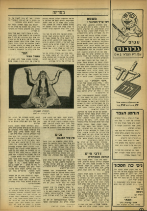 העולם הזה - גליון 909 - 15 במרץ 1955 - עמוד 8 | במדינה משפט למי שייך ה סרצוד* צלם העתונות המשופם, יצחק מרלין, היה מאושר: ברגע בו ראה הוא את הרק דנית׳ חטובת־הגוף, הלן רבינוביץ, הידועה יותר בכינויה לאלא