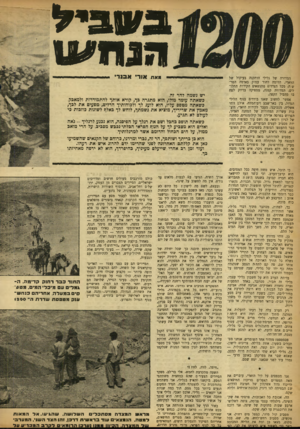 העולם הזה - גליון 913 - 12 באפריל 1955 - עמוד 6 | 3 0 £ 1י ל מ ח ^ו המדורה של גלילי הותקנה בעיקול של הוואדי, הדומה לחור עמוק באדמה הטר־ש ת. מכל הצדדים מתנשאים הקירות התלולים. המדורה קטנה, מספיקה בדיוק לפח בו