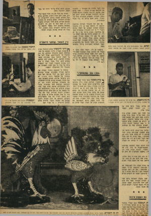 העולם הזה - גליון 923 - 23 ביוני 1955 - עמוד 11 | חות לקבל בחזרה את חפציהם — ולהחזיר את ההלוואה בצירוף הרבית — לאחר חודש אחד. אומנם, רוב בתי המשכון נוהגים לחכות זמן־מה ללקוחות מפגרים בטרם יוציאו את החפץ