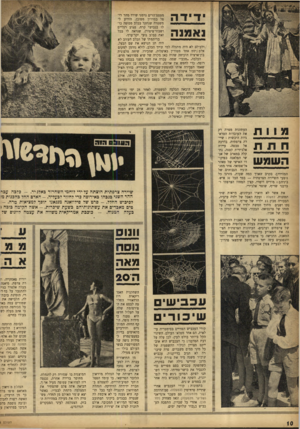 העולם הזה - גליון 930 - 11 באוגוסט 1955 - עמוד 10 | דידה נ א מנ ה מטפם־הרים גרמני שירד מהר רי־פל במדרון מסוכן, הודיע למשטרה שנתקל בכלב מכוסה כולו בגבישי קרח, פצוע רגליים ושבור־ציפורן, שנראה לו בכל זאת ככלב גזעי