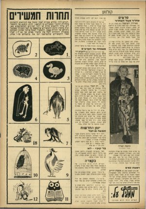 העולם הזה - גליון 930 - 11 באוגוסט 1955 - עמוד 17 | קולנוע סרטים ש ח רו ר מ עו להשח רו ר קארולין השובבה הוא משהו בין שעור באנטומיה לבין מסה קומית על חולשתו של האדם. דוגמנית מרכזית לשעור האנטומיה משמשת, כמובן,