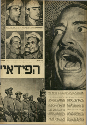 העולם הזה - גליון 934 - 8 בספטמבר 1955 - עמוד 10 | י צני פ ל חי ם אלה נטשו את שדותיהם והצטרפו לפידא״ן. נזוחנזד אחמד עליונה (ימין) וכליפה שייכון איברהים התנדבו לאחר שהנקבר להם כי המולדת זקוקה לגיבורים. ה קו מנד׳