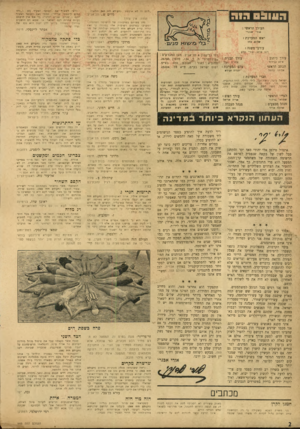 העולם הזה - גליון 945 - 24 בנובמבר 1955 - עמוד 2 | ה!וו 0 3 ״להם זה לא אי כפת ״ (העולם הזה 943ו הל א ה)... מיי: מרים ש,. תודה. אין צורך. •...טוב ע שיתם בפר סו מ ה של הר שימה ה שחורה ! ה מ שיכו בפר סו ם ר שי מו