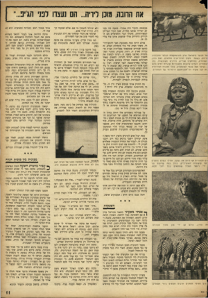 העולם הזה - גליון 954 - 26 בינואר 1956 - עמוד 11 | את הוונה, מונן ריויה ...הם נעצה לפני הג׳־פ... של הנוער הישראלי ארץ ההרפתקאות הבלתי מוגבלות. חייהם, כשאת מקום האינדיאנים ממלאים, לשם גיוון, ועצומים, במרחקים