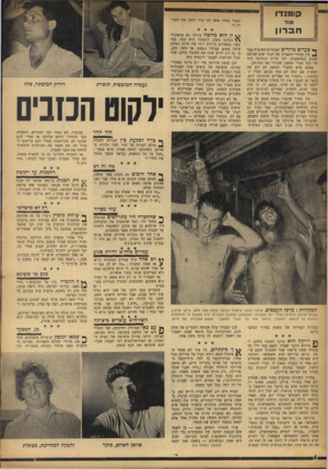 העולם הזה - גליון 968 - 3 במאי 1956 - עמוד 6 | קומנדו מול ח ב רון ך• צעדים מדלדים ואומרים־חשיבותעבר ^ בין עמודי־התאורה של הגדר אדם שנראה שקוע במחשבות. לפי צורת ההליכה היה קל לכל חברי המשק להכירו אף ממרחק.