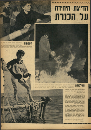 העולם הזה - גליון 969 - 10 במאי 1956 - עמוד 11 | הו״גת היחידה ער המוח העבודה נורית ומרטין חותרים בסירתם ליד החוף. בלב ים, מפעילים הם את המנוע הקטן. עבודת הדייג קשה ומפרכת. פרישת הרשתות(למטה) אינה קשק אן כאשר