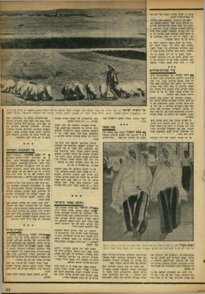 העולם הזה - גליון 973 - 7 ביוני 1956 - עמוד 11 | או״ם — שולט באזור, הצמיד אלי את הסרן כמלווה־שומר־מפקח. יצאנו אל המחנות, הנמצאים כמה קילומטרים מדרום לעזה, לצדי הכביש המוביל מצרימה. היו אלה אוסף של אוהלים
