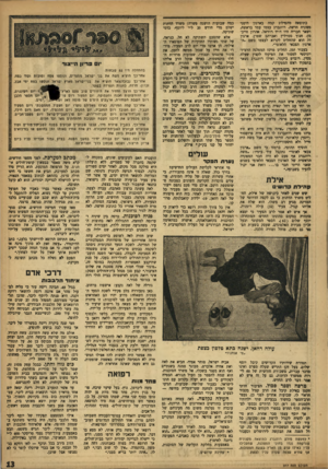 העולם הזה - גליון 977 - 5 ביולי 1956 - עמוד 13 | כתוצאה רהפילוג קמה כארגון הימני מפקדה חדשה. רוזנברג עצמו עמד בראשה, ושאר חבריה היו רות רוזיאל, אהרון חייכ־מן׳ חנוך ססרליץ ואברהם שטרן. ארגון זה הוא שהחליט