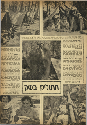 העולם הזה - גליון 990 - 3 באוקטובר 1956 - עמוד 15 | חמש כצל אהל אחד. חניכות גדנ״ע, בנות פרברי תל־אביב, בצל אהל סייריס, מיסדר נעליים. רגלי הגדנעיס בולטות מתוך אהלי הסיירים בשעת מנוחת הצהריים. בננס חטיבות גדנ׳׳ע